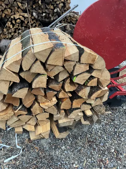 Brennholz, trocken