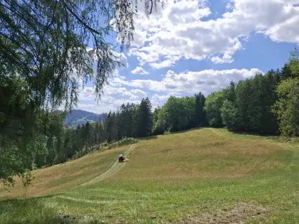 Suche noch ca. 200 Kleinballen