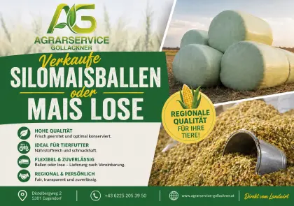 Maisballen oder Mais lose