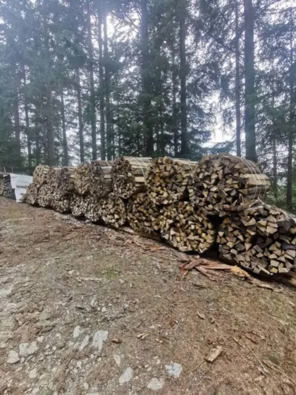 Hartholz