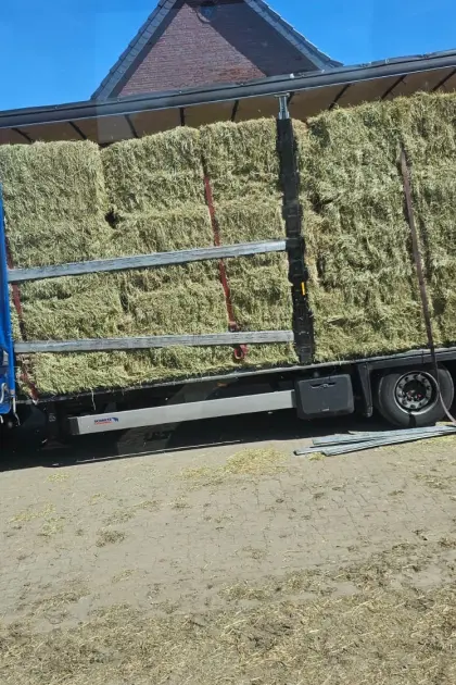 Suche Heu, Gras- und Maissiloballen