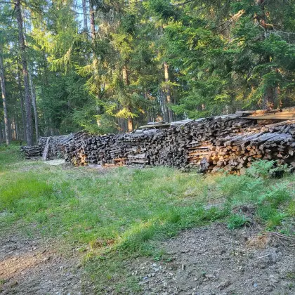 Brennholz