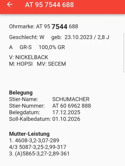 Tiroler Grauviehkalbinnen, Bio
