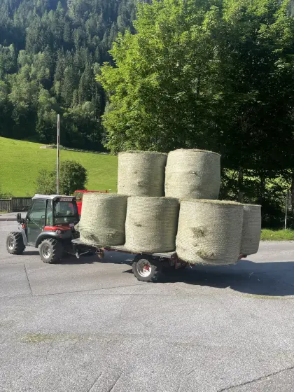 Suche Heu.