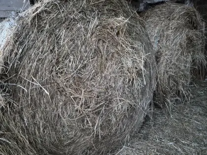Heu-Rundballen