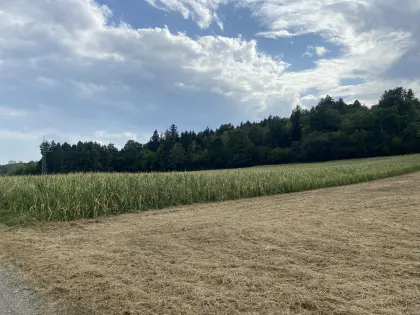 Ackerland im Raum Oberwart (1,4 ha)