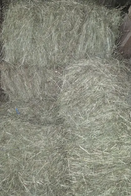 Kleine Heuballen