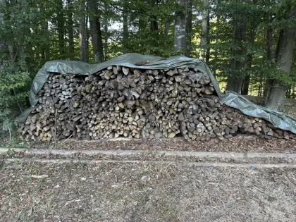 Scheitholz hart Buche/Eiche