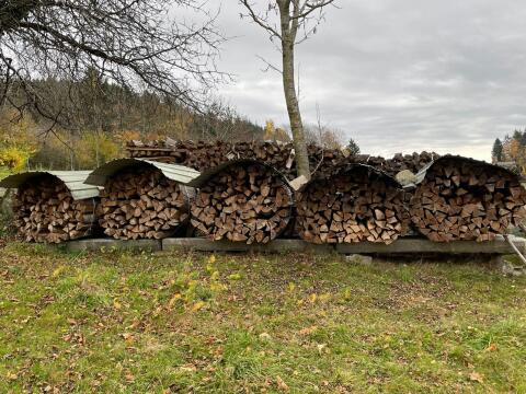 Brennholz Buche