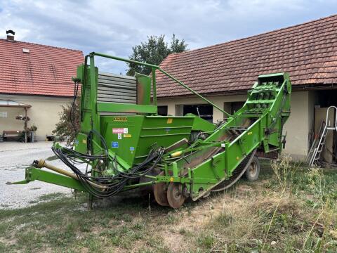 Wühlmaus 1033