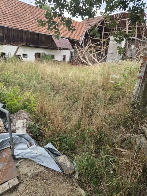 Altholz