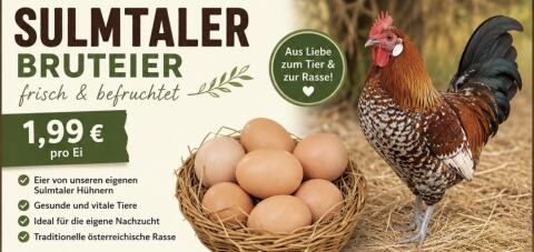 Sulmtaler Bruteier