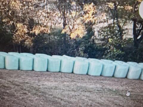 Suche Silageballen