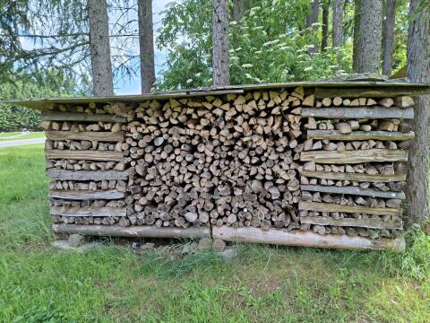 Brennholz