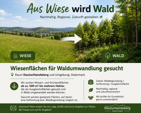 Wiesenflächen für Waldumwandlung gesucht