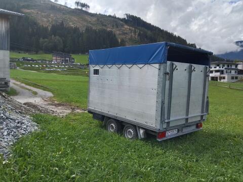 Zapf Viehanhänger und Plattformanhänger