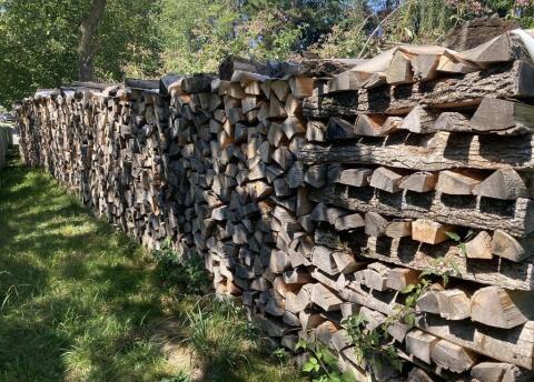 Brennholz
