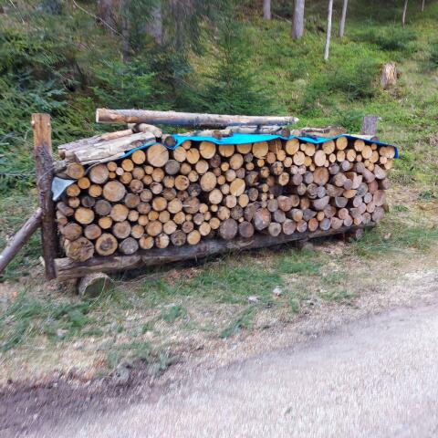 Brennholz