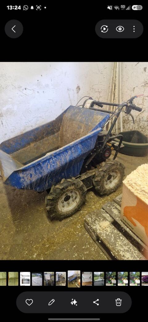 Treuer Allrad-Dumper sucht neues Zuhause