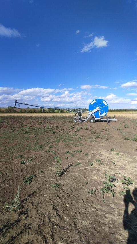 Trommelregner Idrofoglia 540 m, mit Briggs Ausleger R30, Modell G5