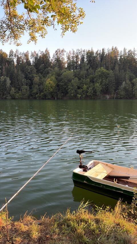 Teich
