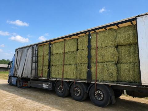 Luzerneballen heißbelüftet, mindestens 18 % Protein