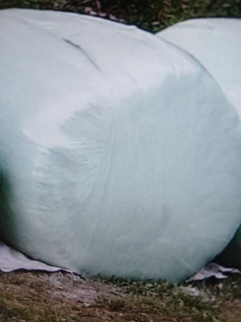 Suche Siloballen