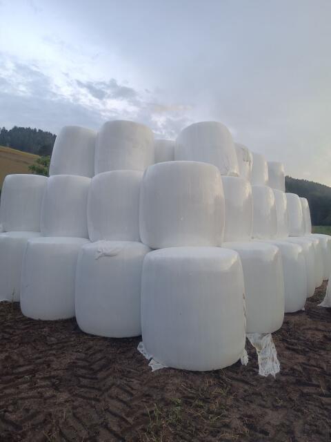 Maissilageballen, Ernte 2026