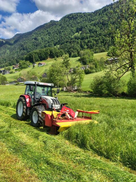 Steyr 9095 MT