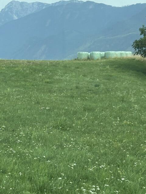 Silageballen, ca. 10 bis 15 Stk.