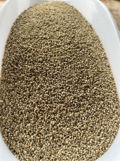 Quinoa