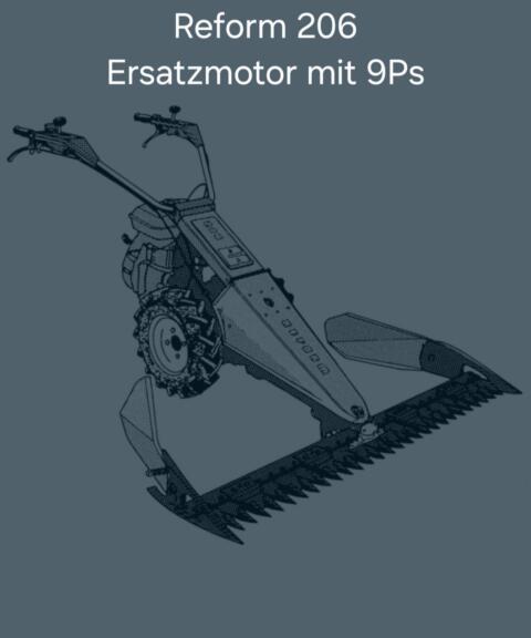 Reform 206 Ersatzmotor mit 9 PS 4-Takt-Benzinmotor