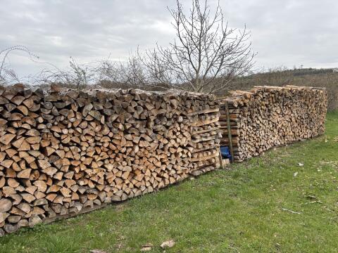 Brennholz, weich, Kiefer, trocken