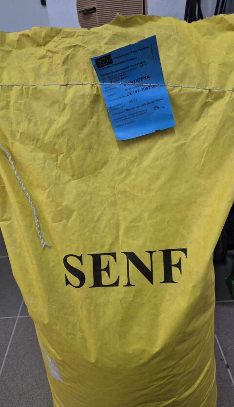 Senf-Saatgut
