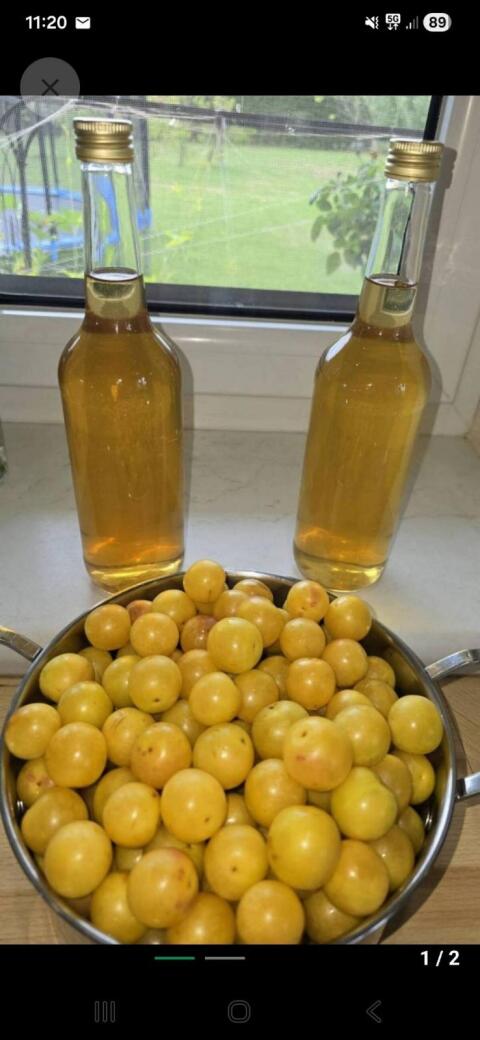 Kriecherlmarmelade, Hollundersirup, Kriecherlsirup von 2026