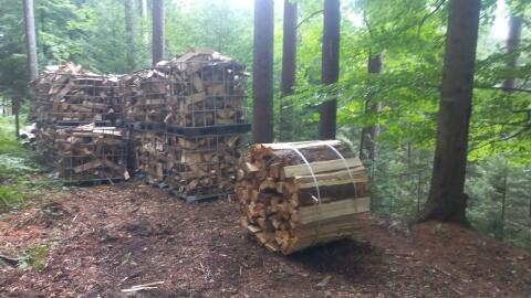 Brennholz