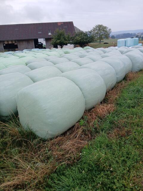 Grünschnittroggenballen