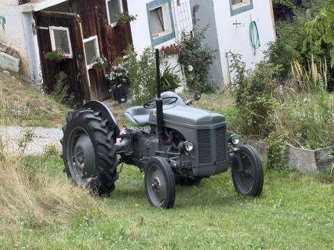 Massey Ferguson TE 20, Bj. 1953, Benzinmotor