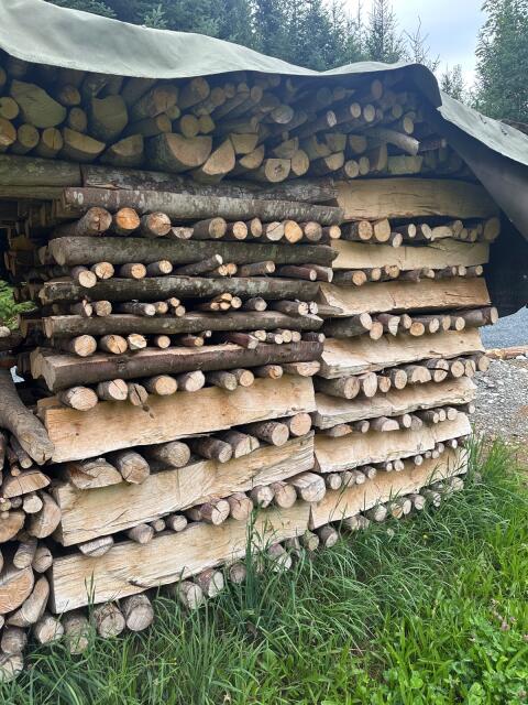 Brennholz Buche, trocken