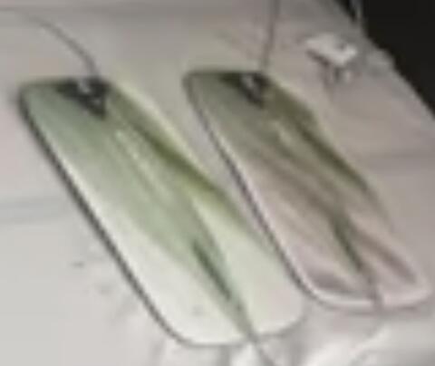 Wasserbettheizung