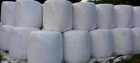 Maissilage-Rundballen