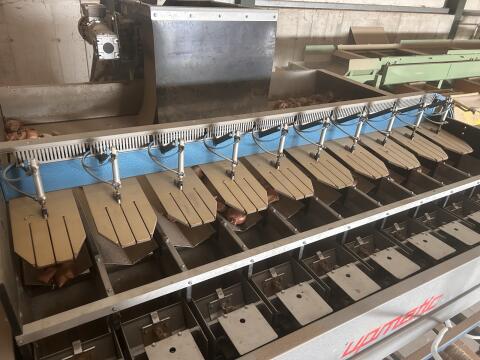 Zwiebel-, Kartoffelwaage mit Netzmaschine Upmatic