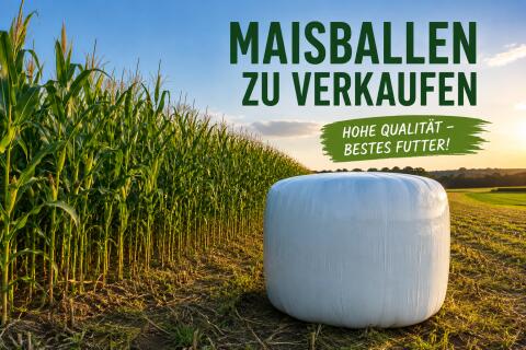 Silomaisballen inkl. Zustellung