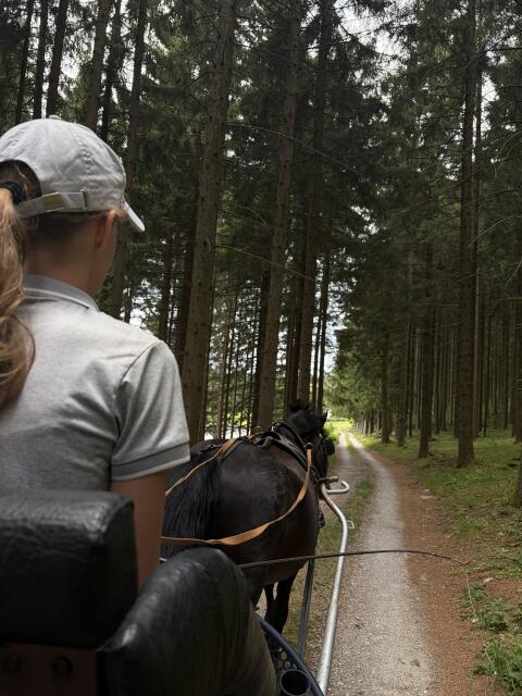 Vielseitiger Freizeit- und Sportpartner sucht neues Zuhause
