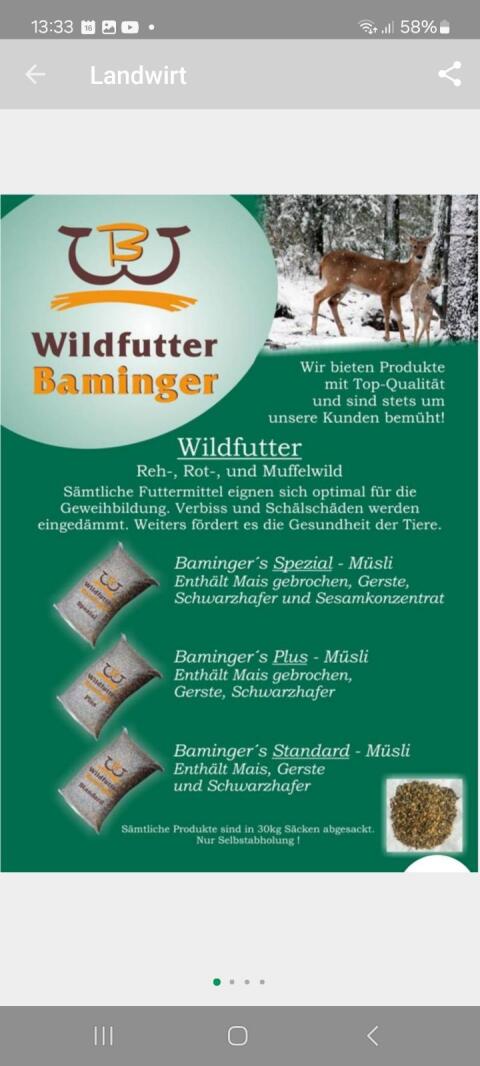 Wildfutter und Getreide (Mais)
