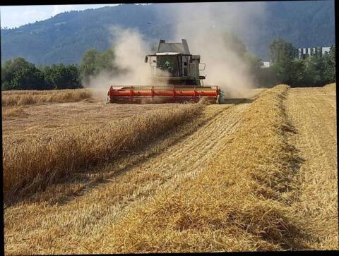 CLAAS Lexion 660