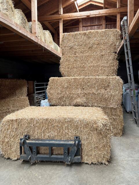 Stroh, Quaderballen