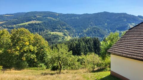 Außergewöhnlicher Bauernhof in Ruhelage mit Wald in Lavamünd