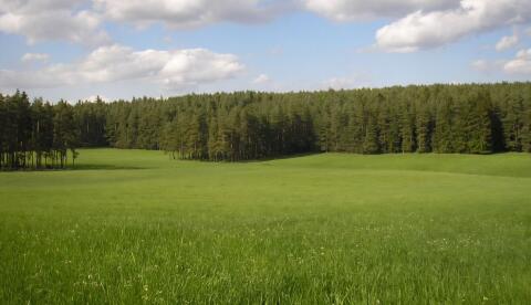 Suche Wiese zum Mähen