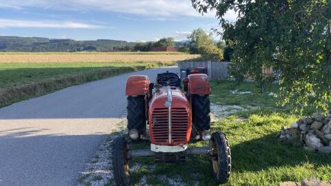 Steyr 290